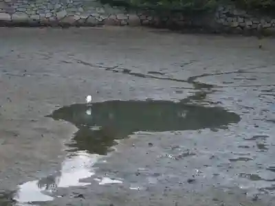 厳島神社(広島県)