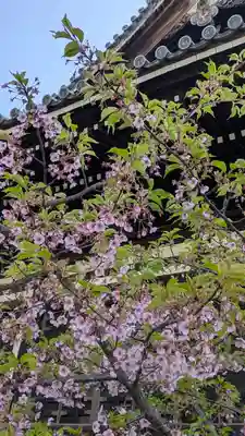 頂妙寺(京都府)