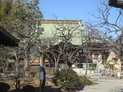 妙法寺(神奈川県)