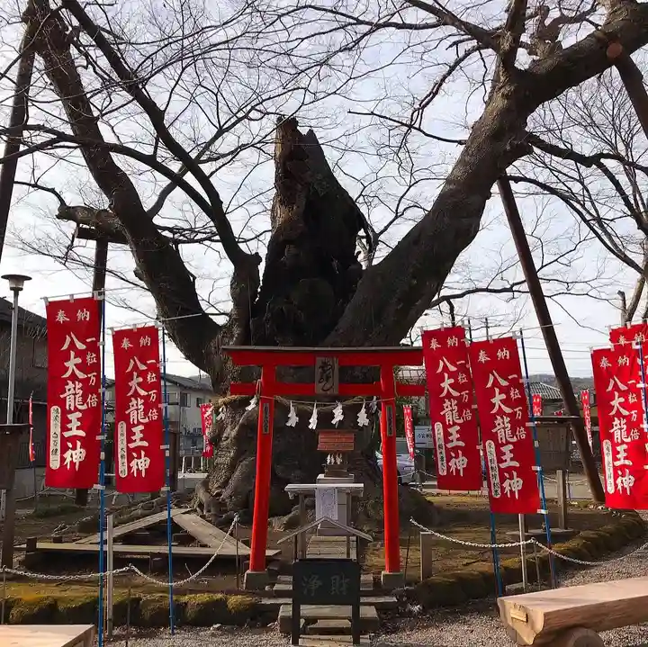 秩父今宮神社のその他建物