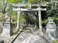 杉之木神社の鳥居
