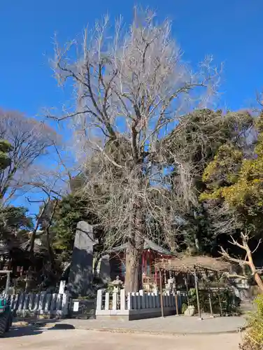 瀧泉寺（目黒不動尊）(東京都)