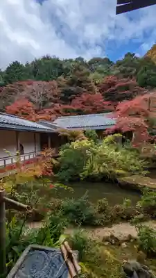 実相院門跡(京都府)