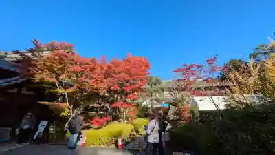 天得院(京都府)