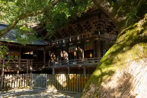 金刀比羅宮の本殿・本堂