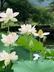 大塩八幡宮の自然