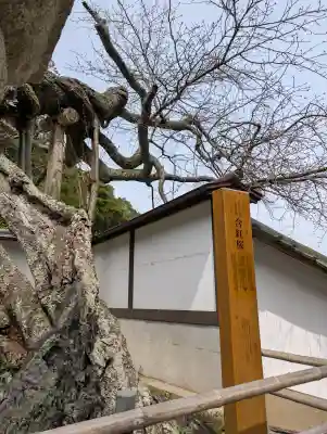 山王宮日吉神社の{uncategorized: "未分類", other: "その他", undefined: "問題あり", building: "その他建物", grave: "お墓", sacred_gate: "鳥居", guardian: "狛犬", statue: "像", buddha: "仏像", history: "歴史", nature: "自然", garden: "庭園", animal: "動物", pagoda: "塔", temizu: "手水舎", mountain_gate: "山門・神門", sanctuary: "本殿・本堂", subordinate: "末社・摂社", art: "芸術", scenery: "景色", jizo: "地蔵", ema: "絵馬", goshuin: "御朱印", omikuji: "おみくじ", items: "授与品その他", amulet: "お守り", goshuincho: "御朱印帳", eats: "食事", festival: "お祭り", votive_dance: "神楽", shichigosan: "七五三参", wedding: "結婚式", experience: "体験その他", initially: "初詣", around: "周辺", anti_infection: "感染症対策"}