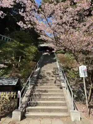甘縄神明神社（甘縄神明宮）の{uncategorized: "未分類", other: "その他", undefined: "問題あり", building: "その他建物", grave: "お墓", sacred_gate: "鳥居", guardian: "狛犬", statue: "像", buddha: "仏像", history: "歴史", nature: "自然", garden: "庭園", animal: "動物", pagoda: "塔", temizu: "手水舎", mountain_gate: "山門・神門", sanctuary: "本殿・本堂", subordinate: "末社・摂社", art: "芸術", scenery: "景色", jizo: "地蔵", ema: "絵馬", goshuin: "御朱印", omikuji: "おみくじ", items: "授与品その他", amulet: "お守り", goshuincho: "御朱印帳", eats: "食事", festival: "お祭り", votive_dance: "神楽", shichigosan: "七五三参", wedding: "結婚式", experience: "体験その他", initially: "初詣", around: "周辺", anti_infection: "感染症対策"}