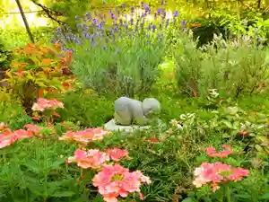 寿量山 速成寺(奈良県)(2022年06月18日(土) 21時22分26秒投稿)