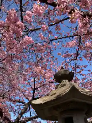 鏡神社の{uncategorized: "未分類", other: "その他", undefined: "問題あり", building: "その他建物", grave: "お墓", sacred_gate: "鳥居", guardian: "狛犬", statue: "像", buddha: "仏像", history: "歴史", nature: "自然", garden: "庭園", animal: "動物", pagoda: "塔", temizu: "手水舎", mountain_gate: "山門・神門", sanctuary: "本殿・本堂", subordinate: "末社・摂社", art: "芸術", scenery: "景色", jizo: "地蔵", ema: "絵馬", goshuin: "御朱印", omikuji: "おみくじ", items: "授与品その他", amulet: "お守り", goshuincho: "御朱印帳", eats: "食事", festival: "お祭り", votive_dance: "神楽", shichigosan: "七五三参", wedding: "結婚式", experience: "体験その他", initially: "初詣", around: "周辺", anti_infection: "感染症対策"}