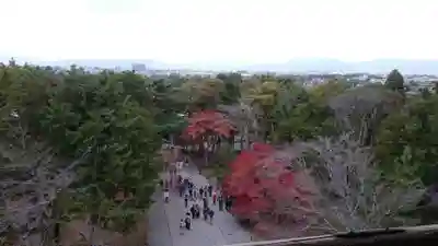 南禅寺のその他建物