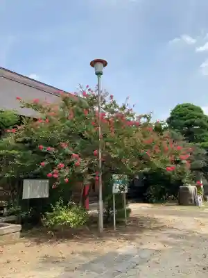 総願寺(埼玉県)