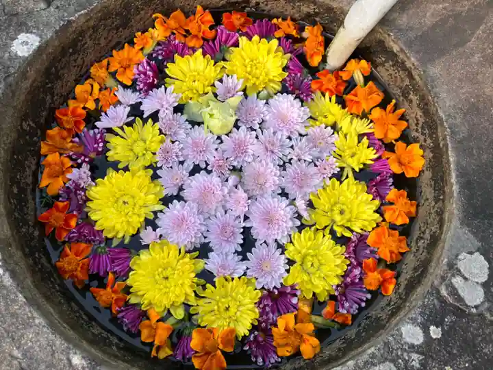 真言宗 善通寺派 薬王寺(香川県)