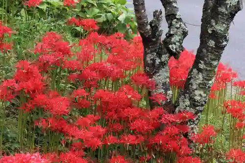 国宝 大法寺の自然