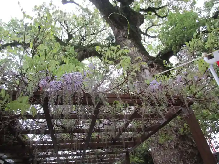 金剛宝寺(紀三井寺)(和歌山県)
