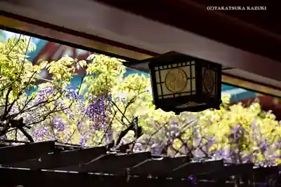 日枝神社のその他建物