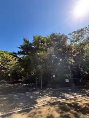 白羽神社(静岡県)