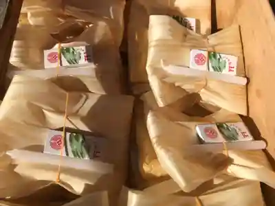 太皷谷稲成神社(島根県)