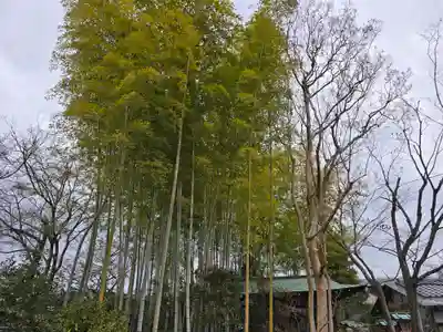 妙智院(京都府)