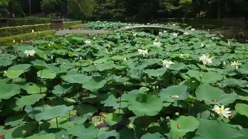 東福禅寺（東福寺）(京都府)
