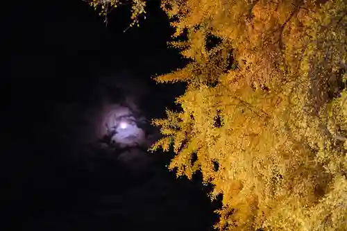 丹生酒殿神社の自然