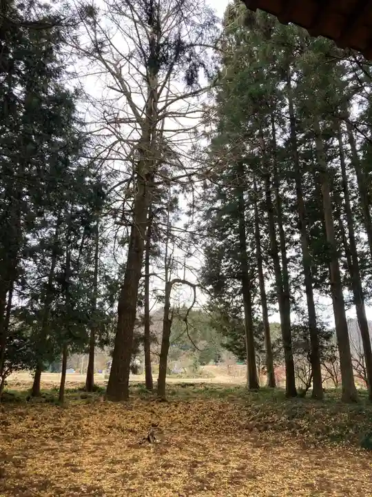 鹿島神社(茨城県)