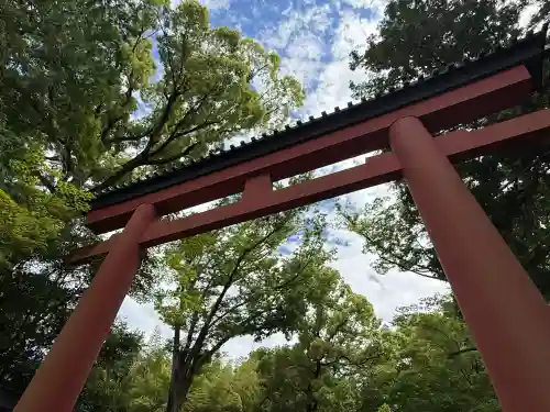 武蔵一宮氷川神社(埼玉県)
