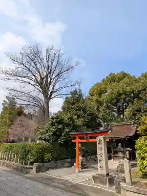 真幡寸神社の{uncategorized: "未分類", other: "その他", undefined: "問題あり", building: "その他建物", grave: "お墓", sacred_gate: "鳥居", guardian: "狛犬", statue: "像", buddha: "仏像", history: "歴史", nature: "自然", garden: "庭園", animal: "動物", pagoda: "塔", temizu: "手水舎", mountain_gate: "山門・神門", sanctuary: "本殿・本堂", subordinate: "末社・摂社", art: "芸術", scenery: "景色", jizo: "地蔵", ema: "絵馬", goshuin: "御朱印", omikuji: "おみくじ", items: "授与品その他", amulet: "お守り", goshuincho: "御朱印帳", eats: "食事", festival: "お祭り", votive_dance: "神楽", shichigosan: "七五三参", wedding: "結婚式", experience: "体験その他", initially: "初詣", around: "周辺", anti_infection: "感染症対策"}
