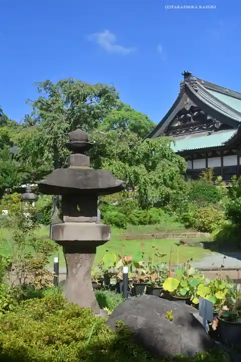 時宗総本山 遊行寺(正式:清浄光寺)(神奈川県)