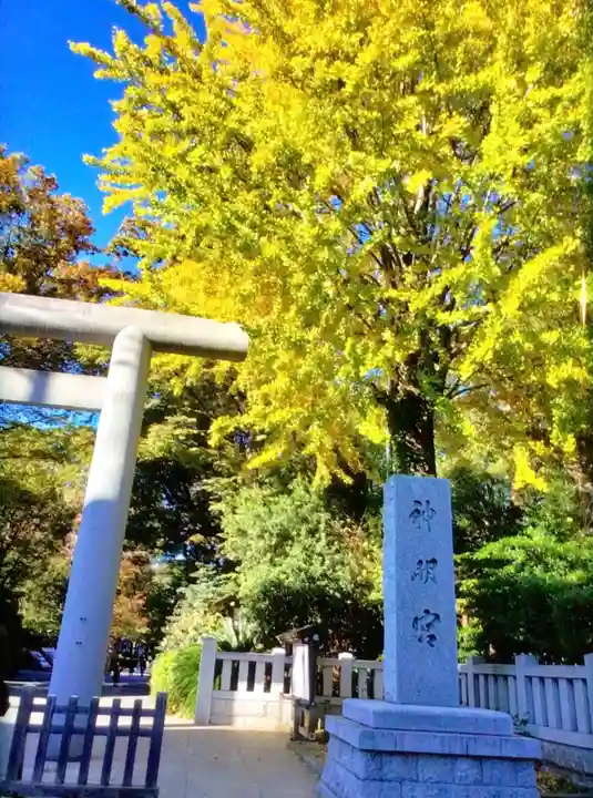 阿佐ヶ谷神明宮(東京都)