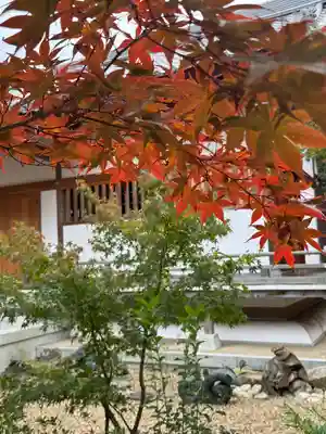 龍田大社(奈良県)