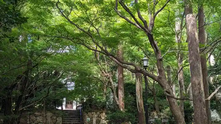 龍安寺(京都府)