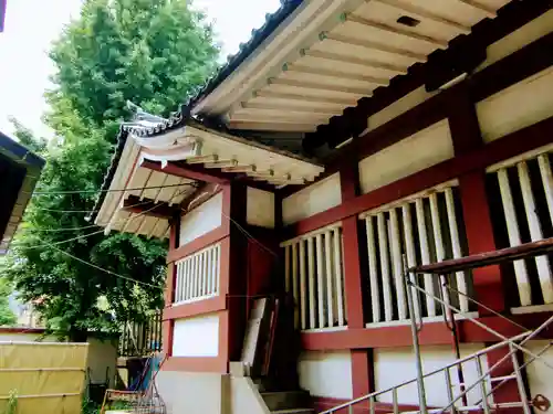 若宮八幡宮 の本殿・本堂