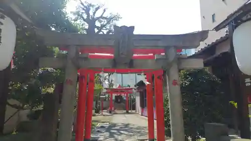 伊富稲荷神社の鳥居