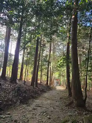 御蔭神社(京都府)