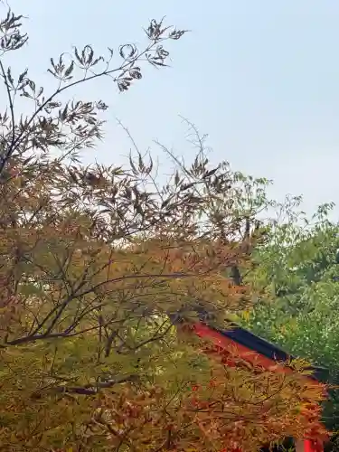 諏訪神社・諏訪山稲荷神社(兵庫県)