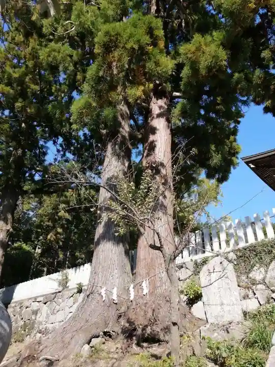 筑波山神社の自然