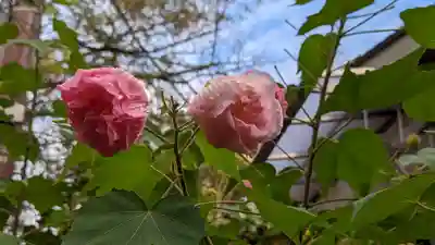 大豊神社(京都府)