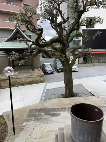 大善院のその他建物