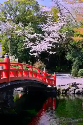富士山本宮浅間大社(静岡県)