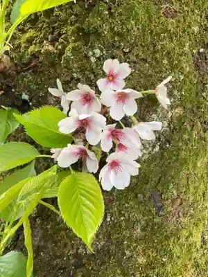 万尺寺(岐阜県)