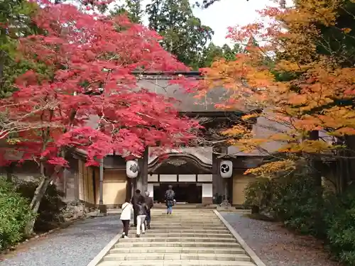 壇上伽藍の山門