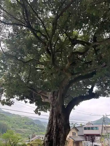 皷楽神社(山梨県)