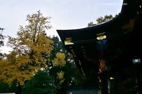 秩父神社(埼玉県)