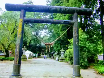 那須神社の鳥居