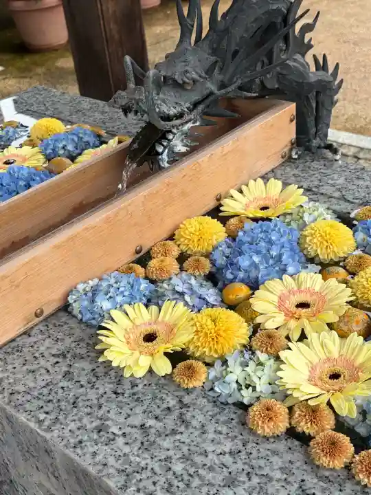 川越八幡宮(埼玉県)