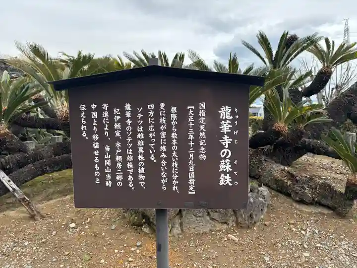 龍華寺(静岡県)