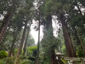 大宮温泉神社(栃木県)(2022年08月17日(水) 16時04分30秒投稿)