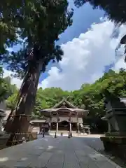 戸隠神社中社(長野県)