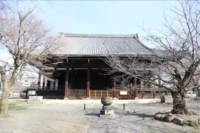 立本寺の本殿・本堂